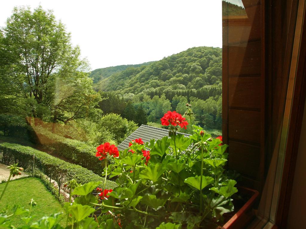 Cottage With A Terrace And A View Of The Valley Aywaille Luaran gambar